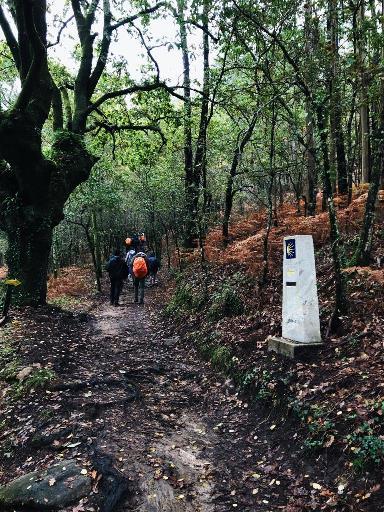 Campinácios - site.jpeg Campinácios - site.jpeg